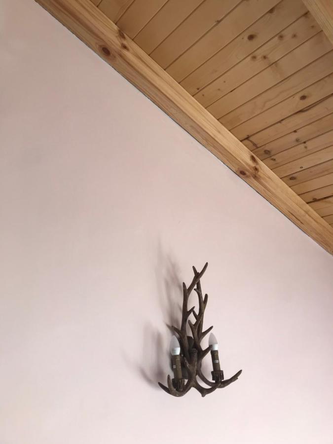 Комплекс Лебанов Hotell Yundola Exteriör bild